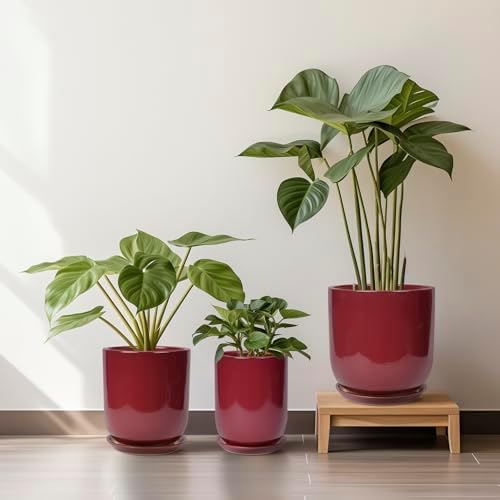 Ceramic Planter for Plants - 10 Inch Plant Pot Indoor with Drainage Hole and Saucer Modern Large Outdoor Planter Flower Pot for Home Decor Red - Image 7