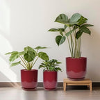 Ceramic Planter for Plants - 10 Inch Plant Pot Indoor with Drainage Hole and Saucer Modern Large Outdoor Planter Flower Pot for Home Decor Red - Image 7