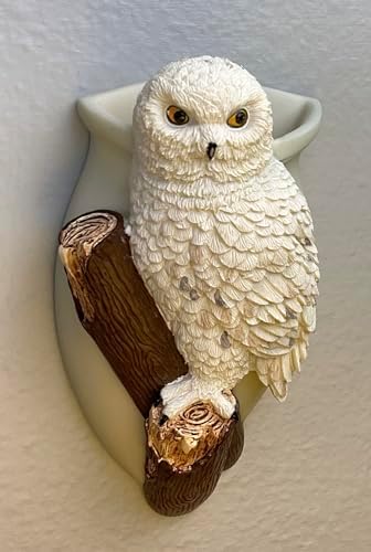 Snowy Owl Wall Planter Vase, 7 Inch, Bonded Marble Wall Pocket Caddy with Keyhole Mount, Spiritual Wisdom Decor, Native American Inspired Gift from SassyXpressions - Image 3