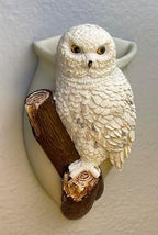 Snowy Owl Wall Planter Vase, 7 Inch, Bonded Marble Wall Pocket Caddy with Keyhole Mount, Spiritual Wisdom Decor, Native American Inspired Gift from SassyXpressions - Image 3