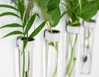 Magnetic Wall Hanging Plant Propagation Station - 12PC - White Leather Wrapped Test Tube Vase Set, Modern Home and Office Decor, Hydroponic Plant Holder, Includes Wall Mount Magnets - Image 2
