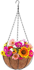 Dandat 1 Pack Metal Hanging Planter Basket, Coconut Coir Liner, 14 Inch by Dandat