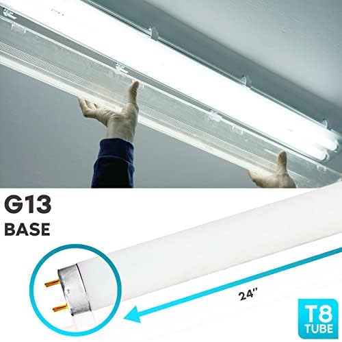 LUXRITE F17T8/850 17W 24 Inch T8 Fluorescent Tube Light Bulb, 5000K 12-Pack - Image 3