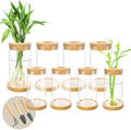 8 Pcs Plant Terrarium Desktop Glass Planter Plant Propagation Tabletop Propagation Vase Containers with Cork and Wooden Saucer for Growing Hydroponic Plants Garden Home Office Decor- by Unknown