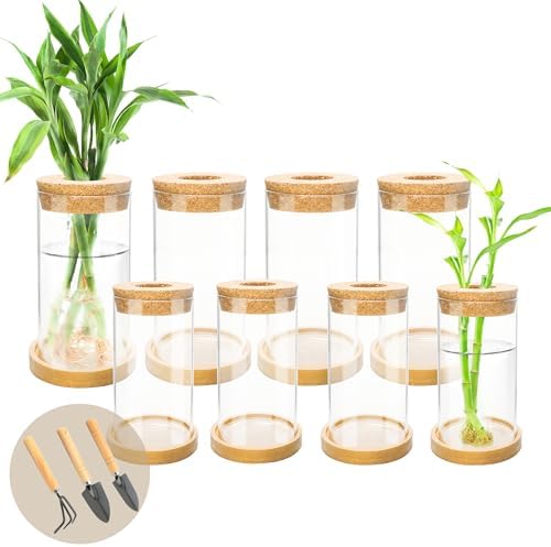 8 Pcs Plant Terrarium Desktop Glass Planter Plant Propagation Tabletop Propagation Vase Containers with Cork and Wooden Saucer for Growing Hydroponic Plants Garden Home Office Decor- by Unknown
