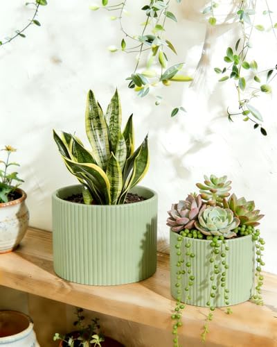 Ceramic Plant Pots, 8.1 + 6 Inch Planters for Indoor Plants, Modern Flower Pot for Plant with Drainage, Medium Cylinder Flower Pots for Indoor/Outdoor, House Plants, Matte Green - Image 5