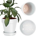vensovo 8 Inch White Terracotta & Clay Pots with Saucer, 2 Pack by vensovo