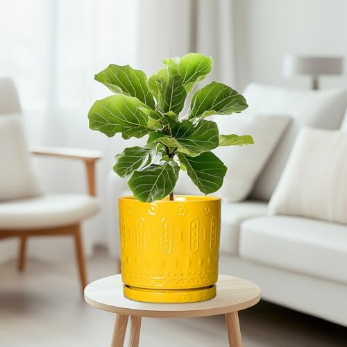 Eightpot 8 Inch Plant Pot, Ceramic Pots for Plants with Drainage Hole and Sacuer, Round Flower Pots for Indoor Outdoor Plants, Modern Decorative Planter, Table Decor, Plant Gifts for Women, Yellow - Image 5