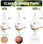 12 Inch Large Self Watering Hanging Planters 2 Pack with Saucers - Image 4