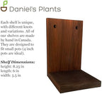 Daniel's Plants 3 Pack Midcentury Modern L Shaped Floating Shelves | Wall Mounted Plant Shelf Kit | Solid Wooden Shelf | 3 Shelves (Woodland Brown) - Image 5