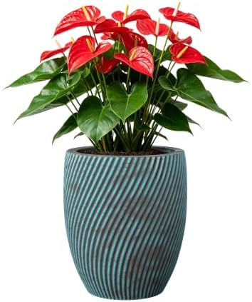 Ocean Teal Veil Large Twill Conical Round Planter 18.1" Tall by HumidJade
