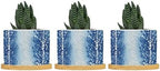 Animal Ceramic Planters White Blue Animal Strip Planters for Outdoor Plants with Drainage Holes and Saucers Pot for Outdoor Garden Home Plant by BRUYU5SE