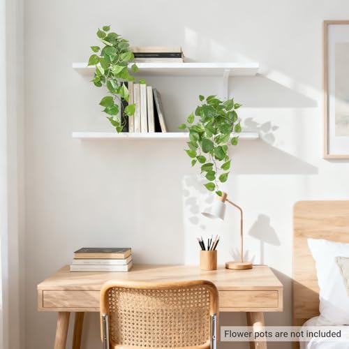 Mkono Bundle of Fake Hanging Plant with Light and 2pcs Artificial Plants for Home Decor Indoor Fake Vines Greenery for Bedroom Wall Living Room Bathroom Kitchen Office Decor, Pothos - Image 5