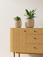 LE TAUCI Ceramic Pots for Plants, 8.3/7/6 Inch Indoor Planters with Drainage Holes & Mesh, Modern Glossy Glaze Cylinder Fluted Plant Pot for Snake Plant, Set of 3, Sand Beige - Image 3
