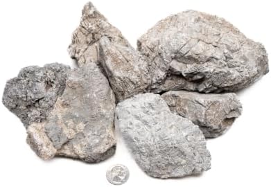 SubstrateSource Natural Aquarium Stones - Medium Gray Jagged Layered Aquascaping Rocks for Dramatic Layouts, Stacking, Terrariums, Freshwater Fish Tank Decorations & Epiphytic Plants - Wolf, 10 LB by SubstrateSource