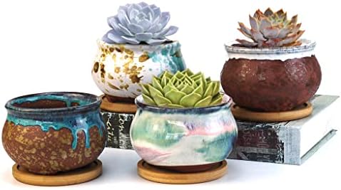 Succulent Pot 4 Inch Hand Glazed Plant Pot Round Ceramic Succulent Planter with Drainage and Saucer Cactus Clay Pot Set of 4 by SUMMERIMPRESSIONS