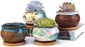 Succulent Pot 4 Inch Hand Glazed Plant Pot Round Ceramic Succulent Planter with Drainage and Saucer Cactus Clay Pot Set of 4 by SUMMERIMPRESSIONS