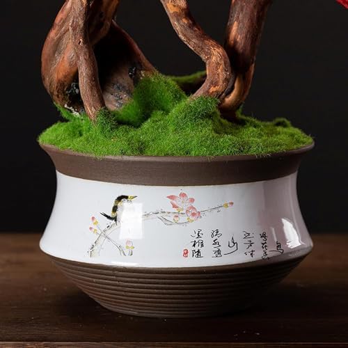 Artificial Bonsai Tree with Ceramic Pot - Fake Indoor Plant for Home Office Desk and Table Decoration - Perfect Potted Bonsai Decor for Any Space - Image 3