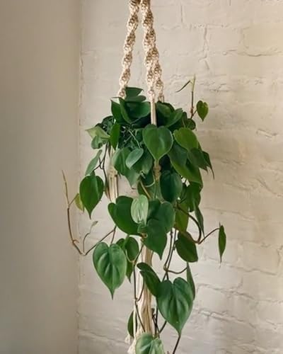 PILLOWPIA Macrame Plant Hanger 55" – Indoor Outdoor Hanging Planter Rack for Ceiling, Wall, or Window – Boho Rope Plant Holder for 10" Pots – Decorative Garden & Patio Plant Accessory – Natural - Image 6