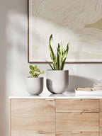 LE TAUCI 8 Inch Ceramic Plant Pot, Indoor Planter, Neutral Gray - Image 5