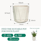 10 Inch Ceramic Plant Pot with Drainage Hole Mesh Net, Large Flower Pots for Indoor Plants with Saucer, Gardening Pots Outdoor (Silk White) - Image 6