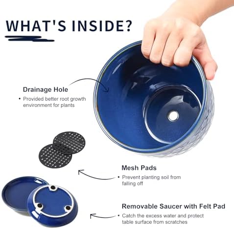 Sureasy Ceramic Indoor Plant Pots - 5.6 Inch Flower Pots for Plants with Drainage Hole and Saucer, Embossed Planter for Succulents, Orchid, Cactus, Indoor Home Decor, Set of 4, Blue - Image 4
