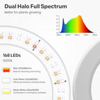 Garpsen Plant Lights Indoor, Dual-Head Full Spectrum with Stand, 168 LEDs - Image 3