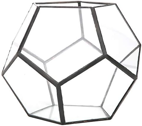Aramox Glass Flowerpot Geometric Plant Planter 18 X 18 X 15 Cm Glass and Tin Container for Succulents Moss Cacti Ferns Indoor Desktop Shelf Windowsill Home Office Decor - Image 6