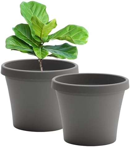 Bloem Terra 16" Plastic Planter, 8 Gallon, Charcoal, 2-Pack by Bloem