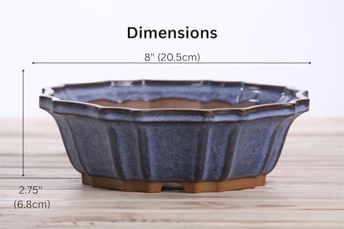 Willow Bonsai Ceramics Flower Design Bonsai Pot 8 Inch – Elegant Ceramic Bonsai & Succulent Planter, High‑Fired Frost‑Proof Stoneware with Drainage & Wiring Holes, Handmade in USA (Denim) - Image 6