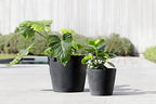 Ecopots Amsterdam Round Flower Planter, Dark Grey, 12" - Image 3