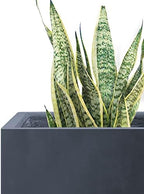 Kante 16",12",10" Square Concrete Planters Set of 3 for Outdoor Indoor Home Patio Garden, Large Plant Pot with Drainage Hole and Rubber Plug, Charcoal - Image 3