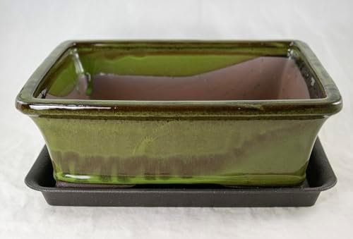 Yubonzai Rectangular Moss Green Glazed Bonsai Pot, Cactus & Succulent Planter with Mesh - 10"x 8"x 3.25" (Pot + MESH +Tray) by Unknown