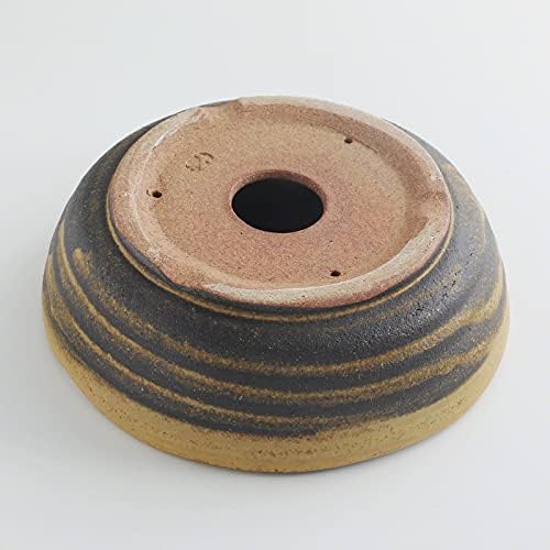 Wazakura Shigaraki Series Yellow Dust Stripe Glazed Ceramic Bonsai Pot - Image 3