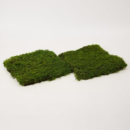 Bulk Wholesale Preserved Sheet Moss Sheet Moss Bun Moss Cushion Moss Natural Green Decorative Real Terrariums(10 sq.ft.) (Green-B) - Image 6