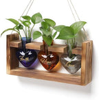Plant Terrarium Propagation Stations Hydroponics by MTsigns