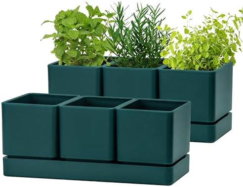 D'vine Dev 2-Pack Plastic Herb Garden Planter Set, Green, 76-V-C-2 by DvineDevPlanterPotsandStand
