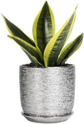 Ceramic Plant Pot 5 Inch, Indoor Planter with Drainage, Silver by SUNPOTFOR