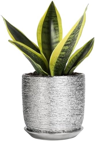 Ceramic Plant Pot 5 Inch, Indoor Planter with Drainage, Silver by SUNPOTFOR