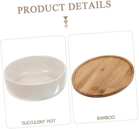 White Porcelain Succulent Pot with Drainage and Bamboo Tray Ceramic Planter Pot for Indoor and Outdoor Small Plants Herbs and Bonsai Flower Pot for Office and Home - Image 5