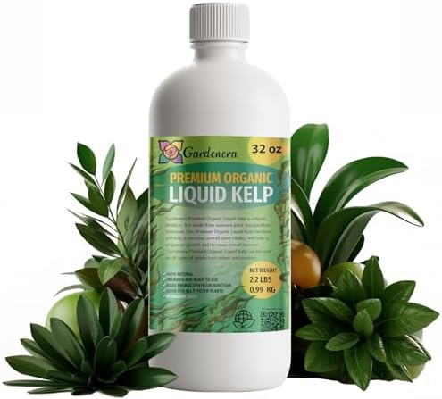 GARDENERA Premium Organic Seaweed & Kelp Superfood for Indoor Plants Plants - 32 oz - Liquid Kelp Fertilizer Concentrate (Makes 180 Gallons) by Gardenera
