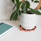 Treleaf Tera Sausr™ – 6" Monstera Leaf Plant Pot Saucer & Drip Tray (Set of 4) – Decorative Humidity Tray for Indoor Houseplants – 3D Printed Eco-Friendly Design - Terracotta - Image 5