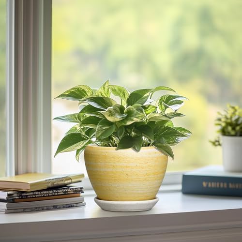 Ceramic Planter, 6 Inch Plant Pots, Textured Yellow - Image 5