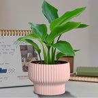 OXART Ceramic Plant Pots, 9.4+8+6 Inch Planters with Drainage Hole, Set of 3, Modern Round Flower Pot for Indoor Plants, Home and Office Decorative Ceramic Pots for Plants, Gifts for Mom, Pink - Image 7