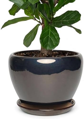11 Inch Ceramic Plant Pot with Drainage Hole Mesh Net, Large Gardening Pots for Indoor Plants with Saucer, Black by Unknown