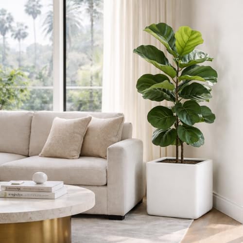 KUTE NEST 11" Premium Cubo Fiberstone Square Planter - White - Image 3