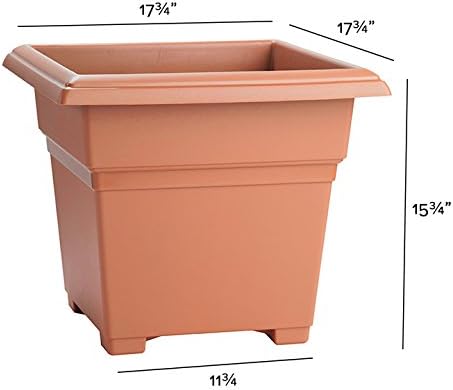 Root & Vessel Countryside Square Planter, Terra Cotta, 18-Inch - Image 2