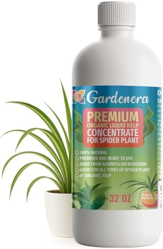 GARDENERA Premium Organic Seaweed & Kelp Superfood for Spider Plant Plants - 32 oz - Liquid Kelp Fertilizer Concentrate (Makes 180 Gallons) by Gardenera