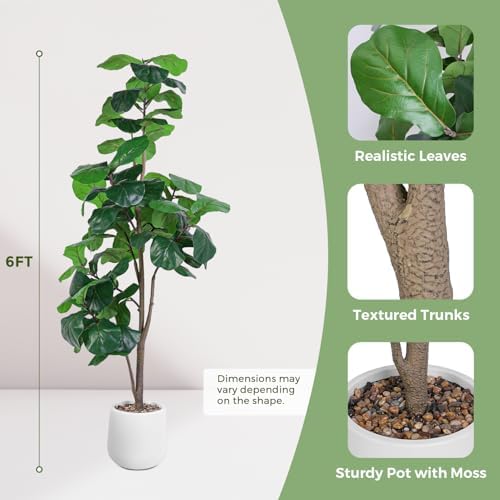 Jocoevol Artificial Fiddle Leaf Tree, 6ft Faux Plant Fake Ficus Lyrata Trees with White Planter - Perfect for House, Office, Living Room Indoor Home Decor, Ideal Housewarming Gift - Image 2