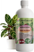 GARDENERA Premium Organic Seaweed & Kelp Superfood for CALATHEA Plants - 32 oz - Liquid Kelp Fertilizer Concentrate (Makes 180 Gallons) by Gardenera